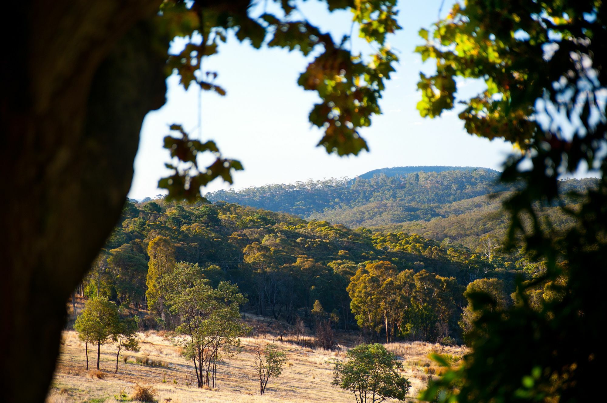 The Acorn Villa Daylesford Esterno foto